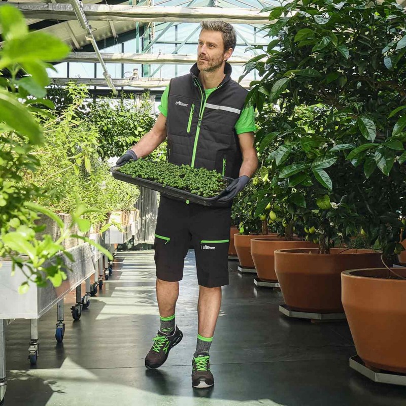 RED LION POINT ESD S1PS FO SR